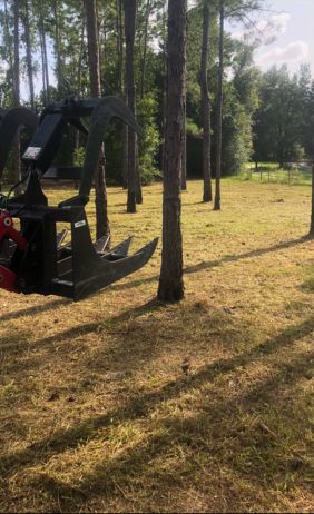 bush hogging service groveland fl