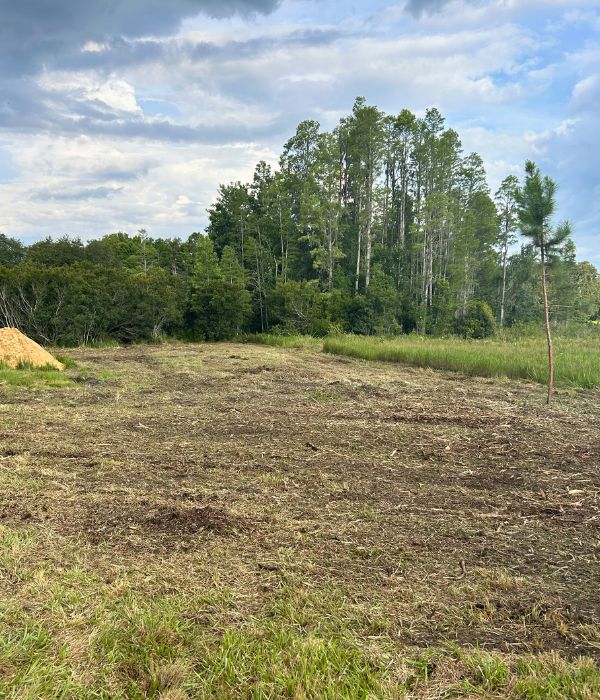 Forestry Mulching forestry mulching groveland fl