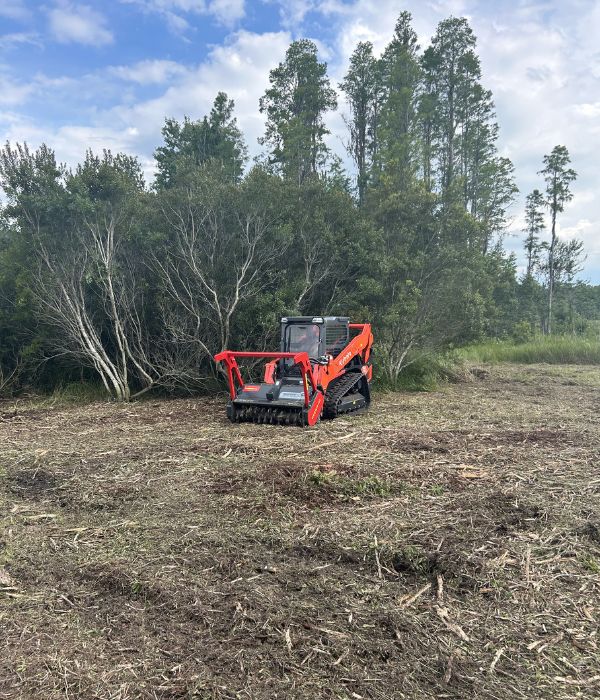 Home land clearing companies groveland fl