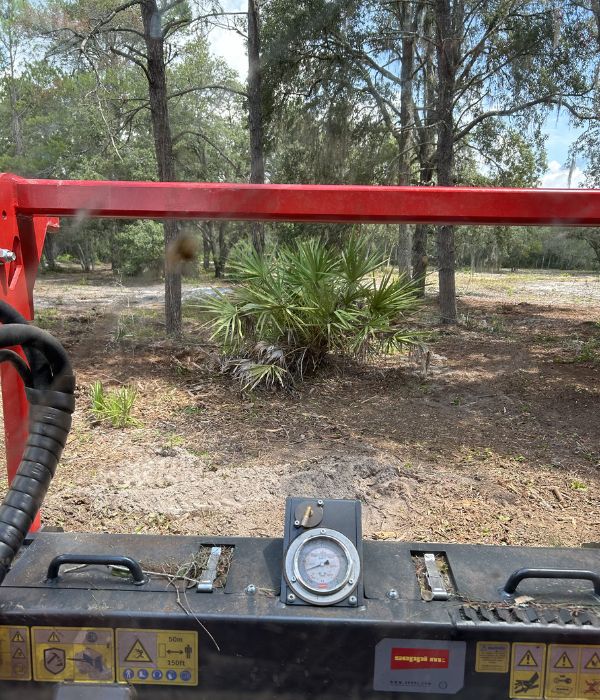 Home land clearing contractors groveland fl