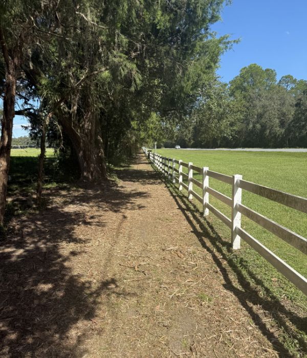 Home land clearing groveland fl