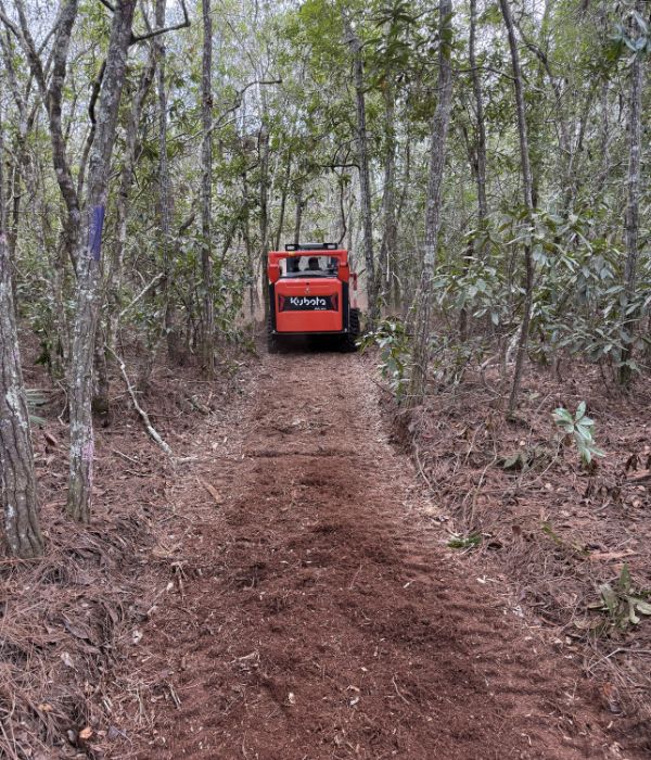 Home land clearing services groveland fl