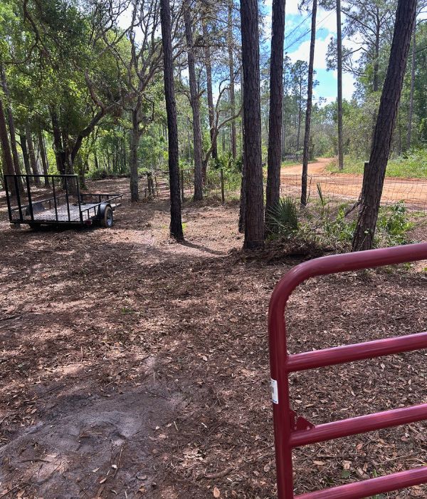 Forestry Mulching land mulching groveland fl