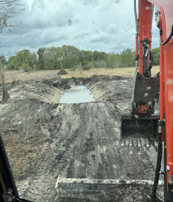 Home landscape clearing groveland