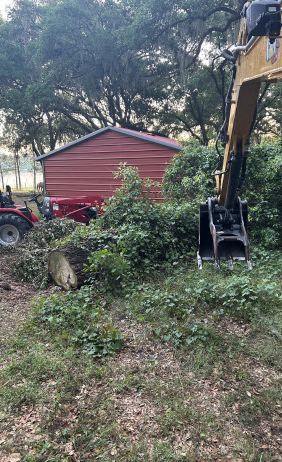stump grinder service groveland fl