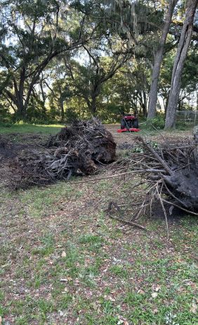tree grinding service groveland fl