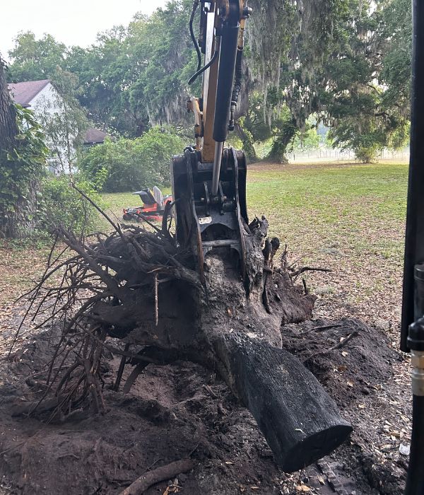 tree stump grinding service groveland fl