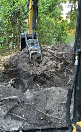 tree stump removal service groveland fl